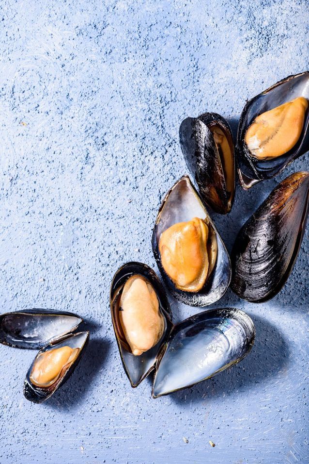 Aliment pas cher : Les moules
