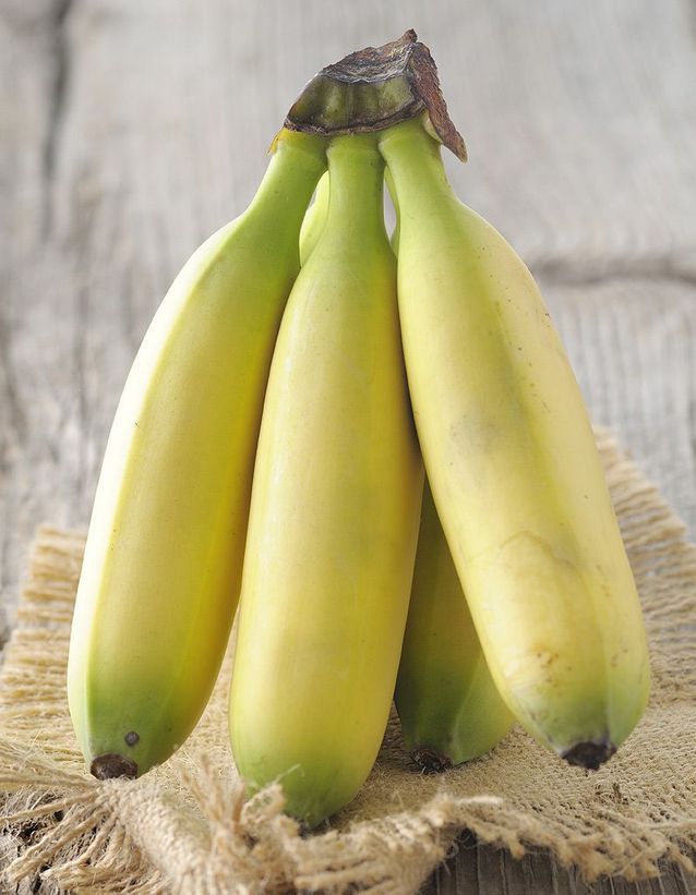 La banane, le fruit de la forme