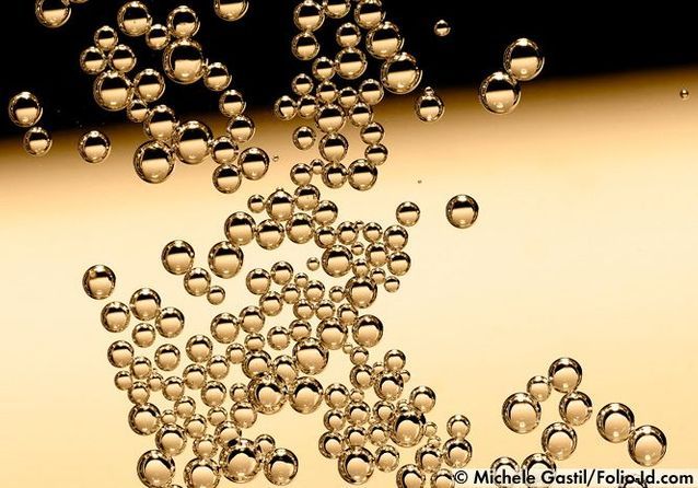 Champagne : notre top 10 des bulles