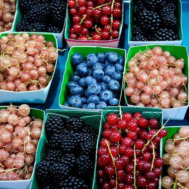 Choisir des fruits et légumes bio de saison