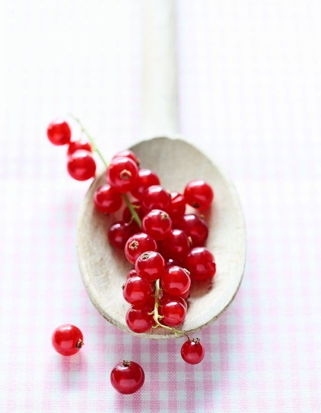 La Groseille Quels Fruits Et Legumes De Saison En Juin Elle A Table La Groseille Quels Fruits Et Legumes De Saison En Juin Elle A Table