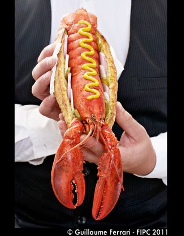 Hot-dog de homard / Guillaume Ferrari