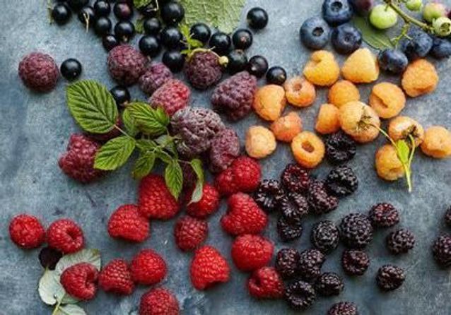 Les 10 plus petits fruits qui donnent envie de ne faire qu’une bouchée