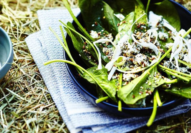 Recette des épinards à la crème version vegan rapide : découvrez les  recettes de cuisine de Femme Actuelle Le MAG