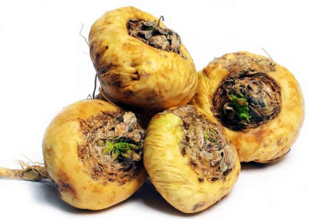 Image search result for "maca plant"