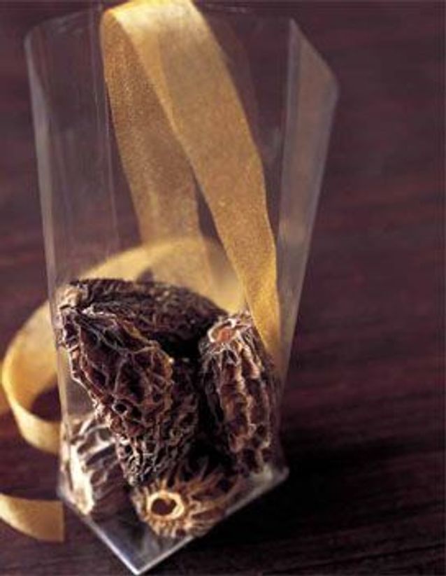 Que-faire-avec-des-morilles-sechees.jpg
