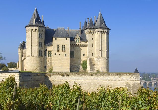 10 châteaux de la Loire qu’on court admirer au printemps !