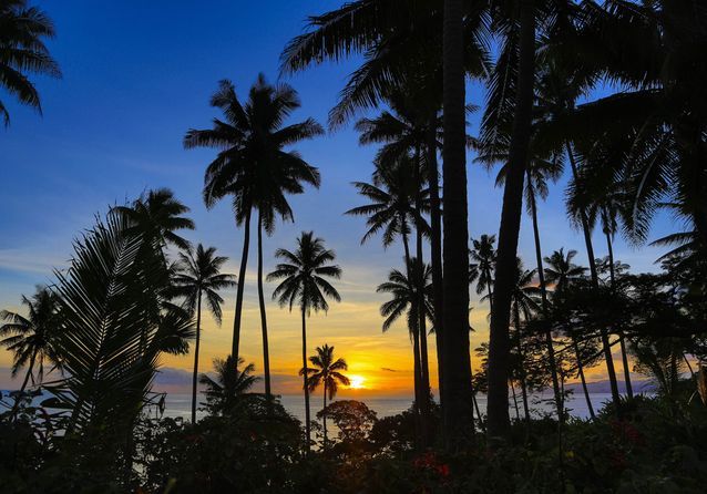 Coucher De Soleil Sous Les Palmiers Sur Lîle De Taveuni