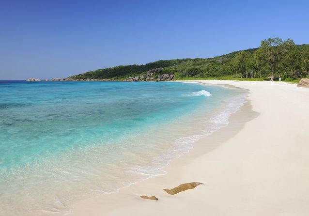 Grande Anse Sur Lîle De La Réunion Plages Paradisiaques