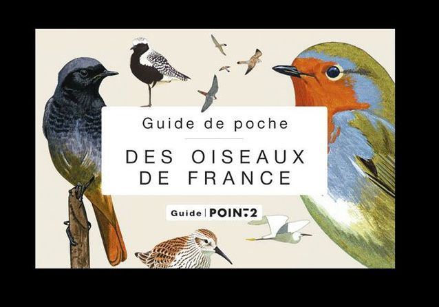 Colliers en or : or jaune, blanc, rose, élégance pour toutes