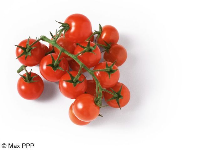 Tomates Cerises Les Astuces Minceur De La Redac Bonnes Ou Mauvaises Elle