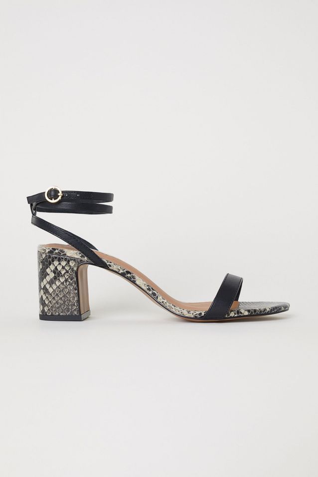 talons 43