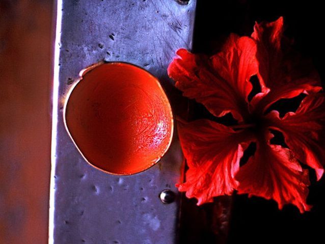 De la Fleur d'hibiscus séchée - Les food box de Noël rêvées des chefs - Elle