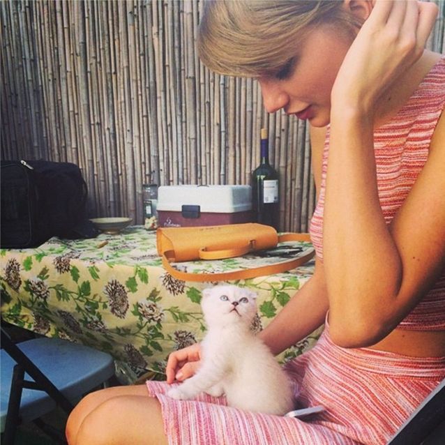 Le Chat De Taylor Swift Animaux De Stars L Album Photo Instagram Des Meilleurs Amis Des Stars Elle