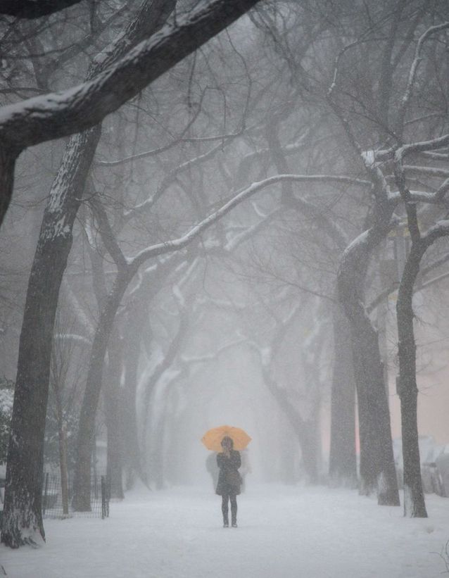 Seule sous la neige