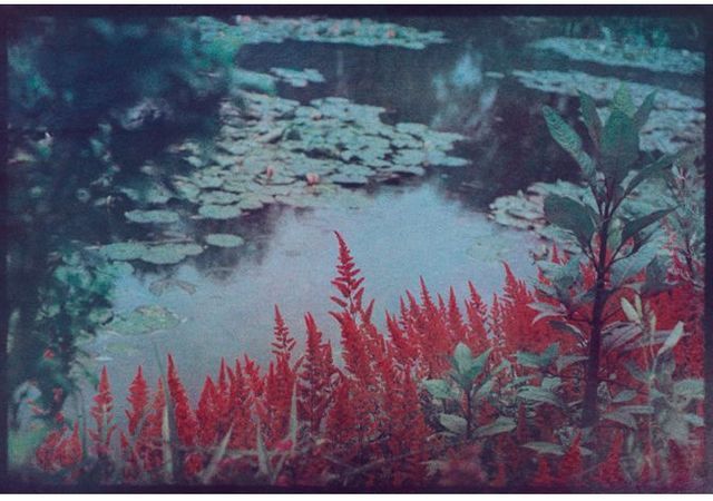 Exposition "Photographier les jardins de Monet, Cinq regards contemporains"