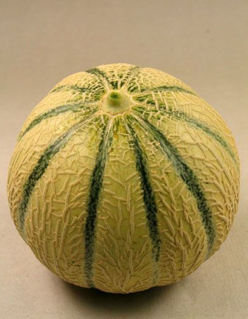 Bien-chois​ir-son-mel​on