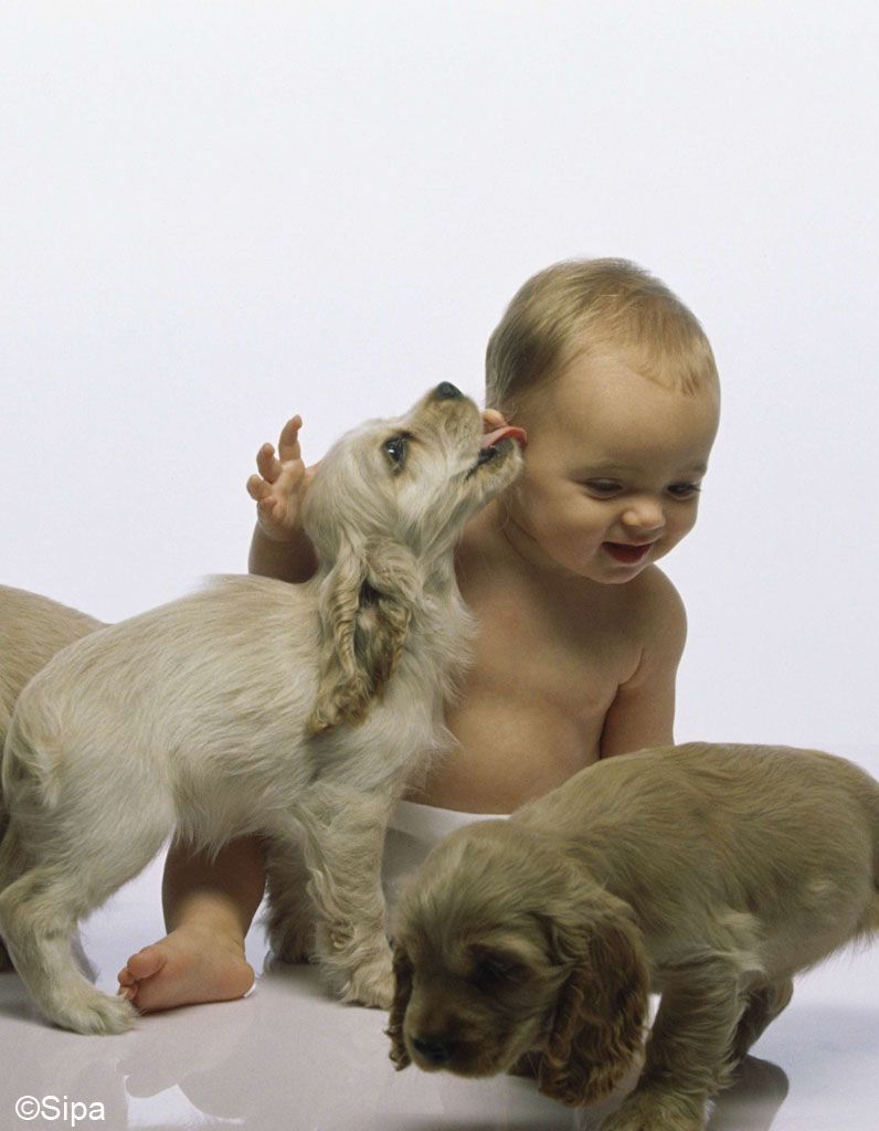 Un Chien Pour Proteger Son Bebe Des Infections Elle Un Chien Pour Proteger Son Bebe Des Infections Elle