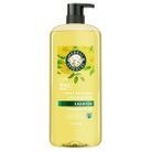 Les shampoings Herbal Essence