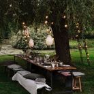 Installez une grande table à manger (sous un arbre XXL) dans le jardin