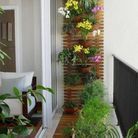 Jardin avec caillebottis pour un mini balcon