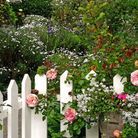 Solitaire fleuri Solitaire fleuri