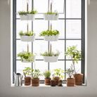 Comment introduire des plantes dans un petit espace sans perdre de place ?