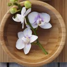 Cache balcon ikea Cache balcon ikea