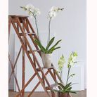 Jardiniere balcon ikea Jardiniere balcon ikea