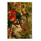Une affiche vintage réveillée par des perroquets colorés