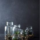 Vase pour terrarium