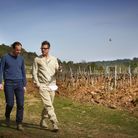 Brad Pitt et Marc Perrin au milieu des vignes de Miraval