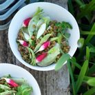 Aliment peu calorique : le radis rouge