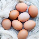 Les œufs sont des aliments gras qui font maigrir
