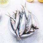 Aliment riche en oméga 3 : la sardine