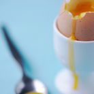 Les œufs donnent du cholestérol