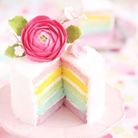 Rainbow cake pastel