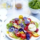 Salade de tomates, fruits, fleurs et burrata au basilic pourpre