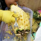 Eplucher un ananas