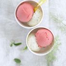 Crème glacée à la nepita et sorbet fraise-fenouil 
