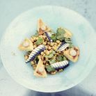 Salade de pois chiches, anchois et coriandre