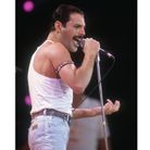 Freddie Mercury en 1985  