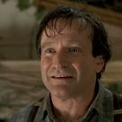 Robin Williams est Alan Parrish