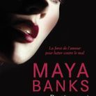 « Slow Burn : Protège-moi » (Tome 1) Maya Banks