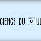 Mag, la science du cul / 3500 fans