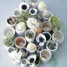 Composition florale en pot