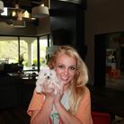 Le chien de Britney Spears