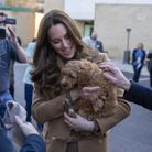 Kate Middleton semblait ravie de rencontrer le jeune cocker
