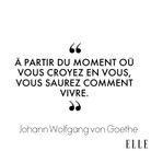 Johann Wolfgang von Goethe